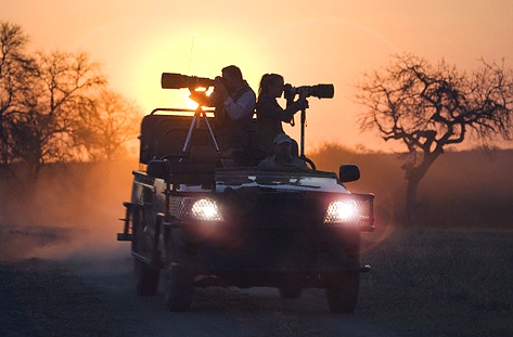 how safe are night safaris in africa?