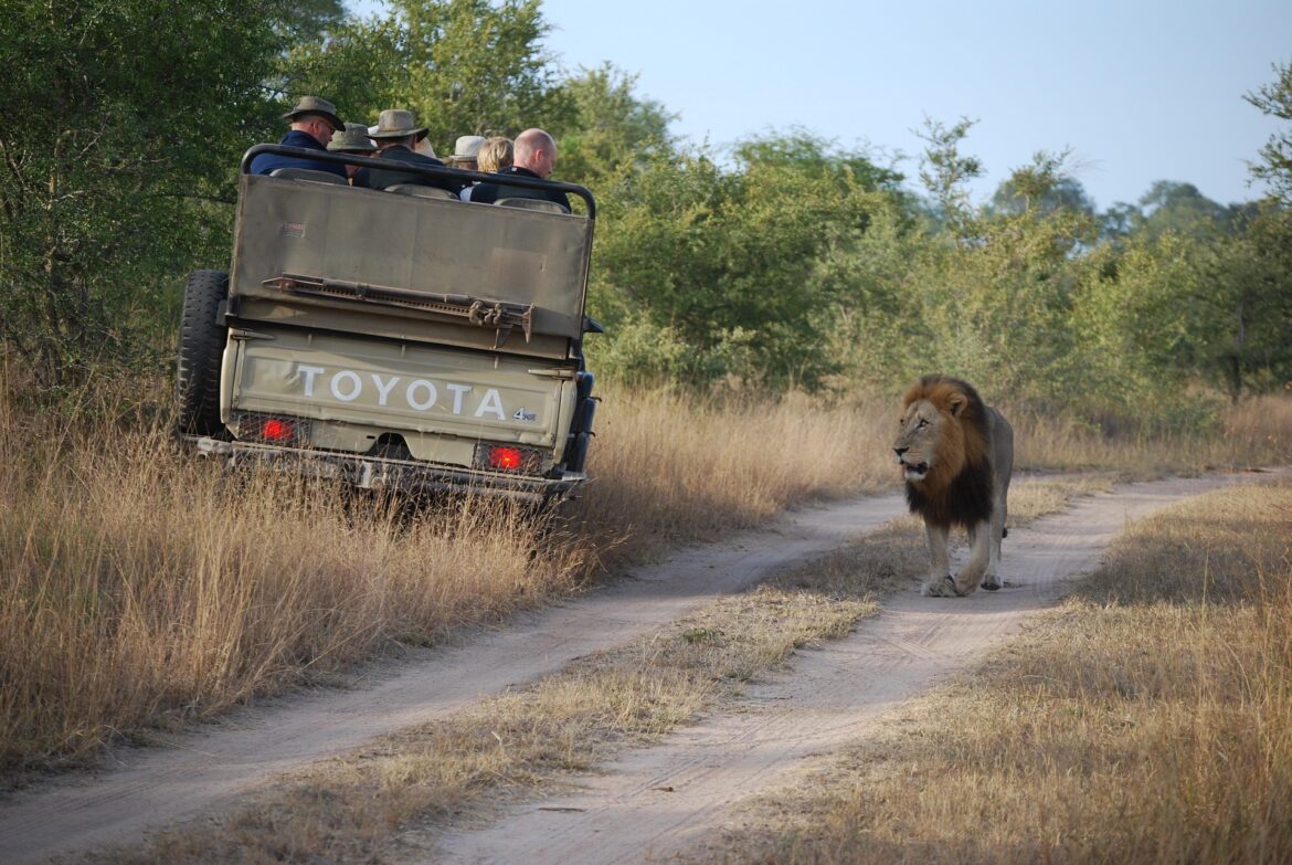 African Safari Safety