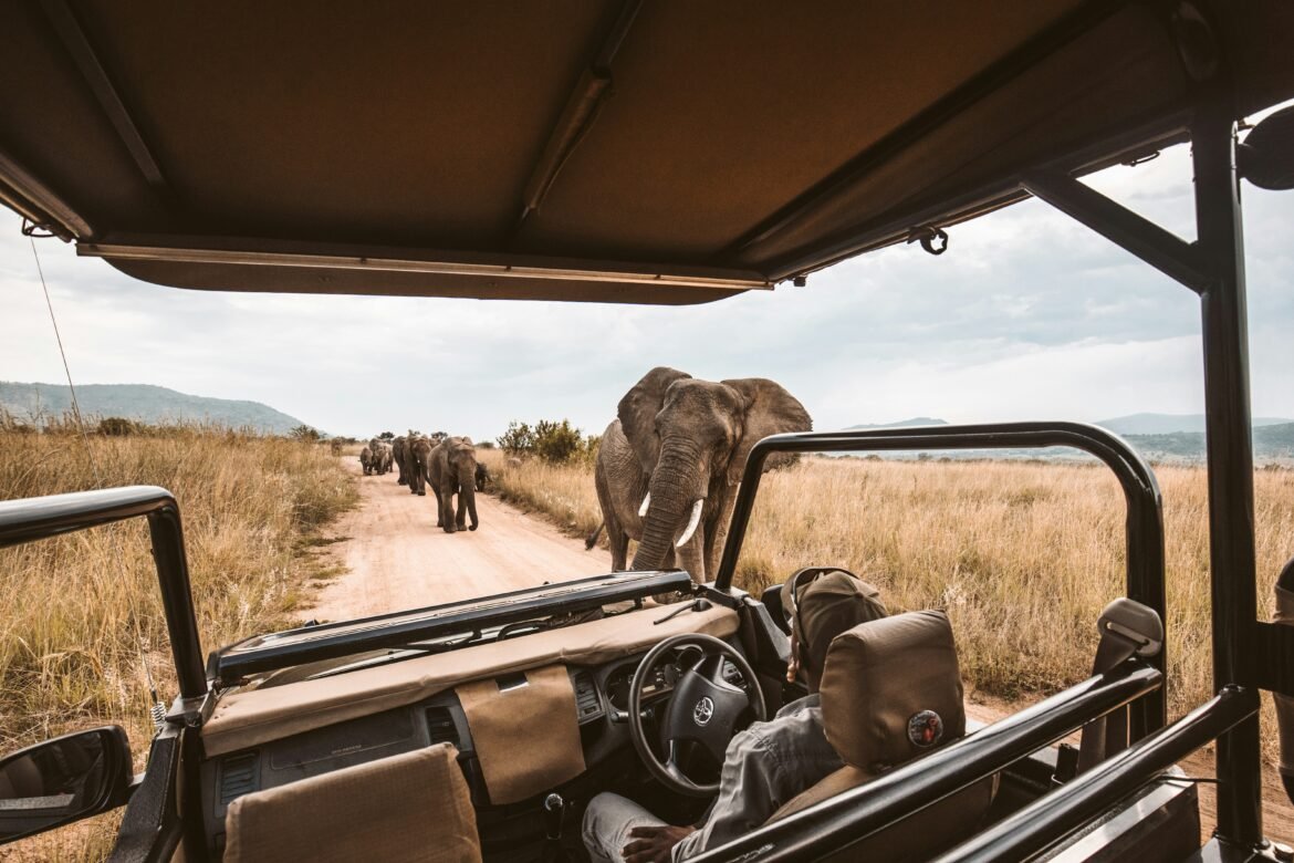 African Safari Horror Stories