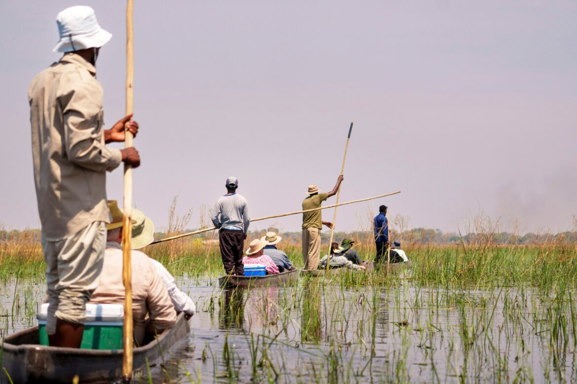 How Safe is Okavango Delta Mokoro Canoe Ride