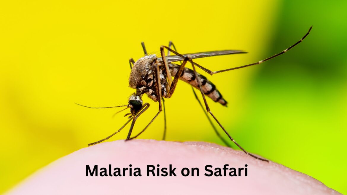 Malaria Risks on Safari